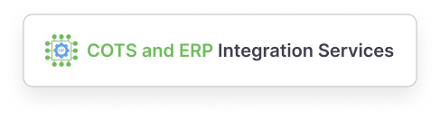 COTS and ERP Integration Services